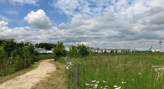 À Ferrières-en-Brie, EpaMarne révèle au grand public les Prairies du Bel Air